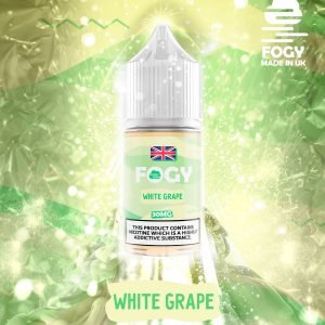 Dundee & Fogy Saltnic Juice (11)
