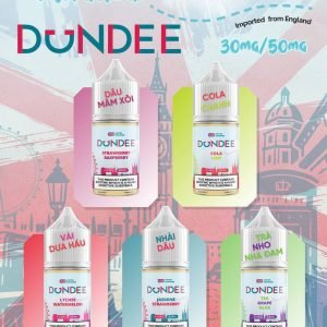 Dundee & Fogy Saltnic Juice (14)