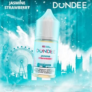 Dundee & Fogy Saltnic Juice (9)