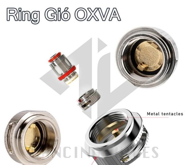 Ring-Gio-Oxva-chinh-hang